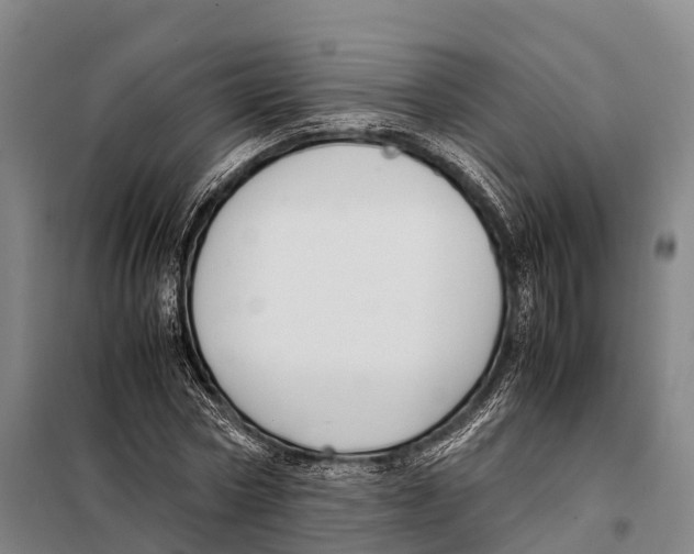 X0000098020778200804251136