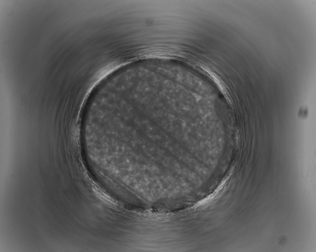 X0000098020779200804251136