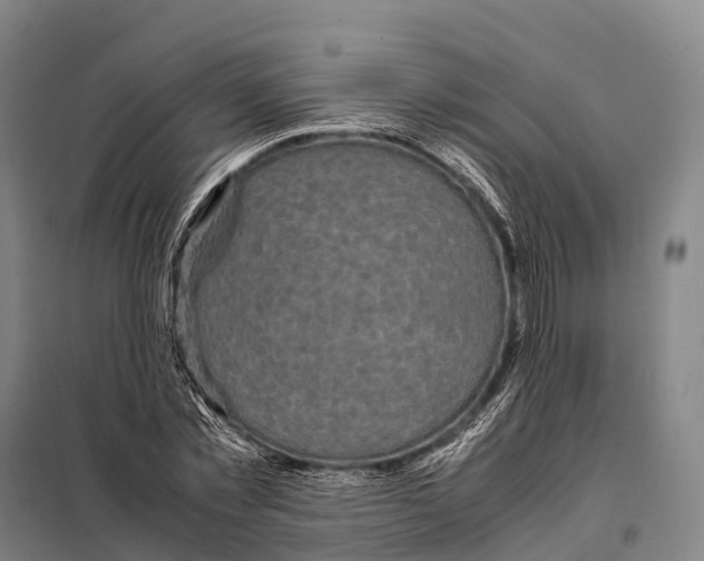 X0000098020781200804251136