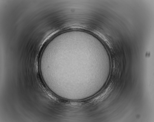 X0000098020782200804251136