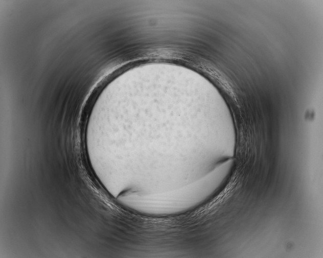 X0000098020784200804251136