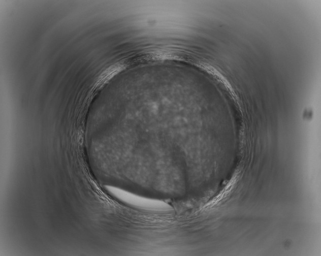 X0000098020785200804251136