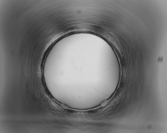 X0000098020789200804251136