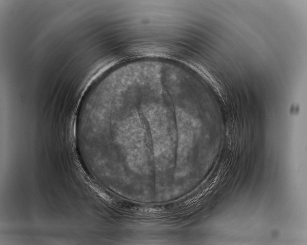 X0000098020790200804251136