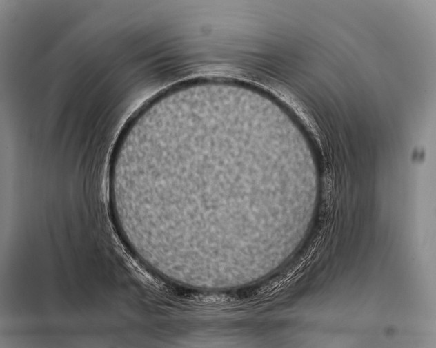X0000098020791200804251136