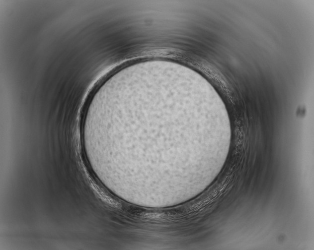 X0000098020792200804251136