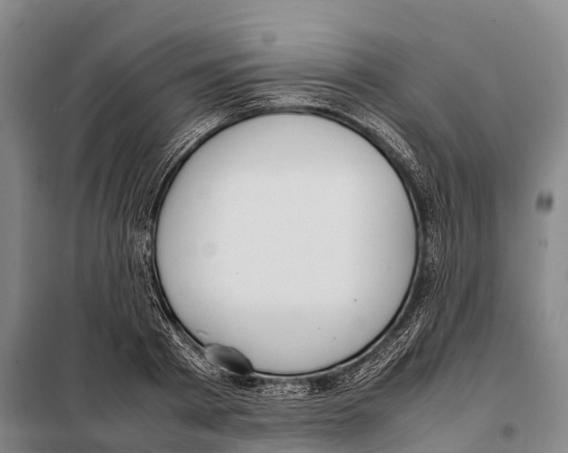 X0000098020793200804251136