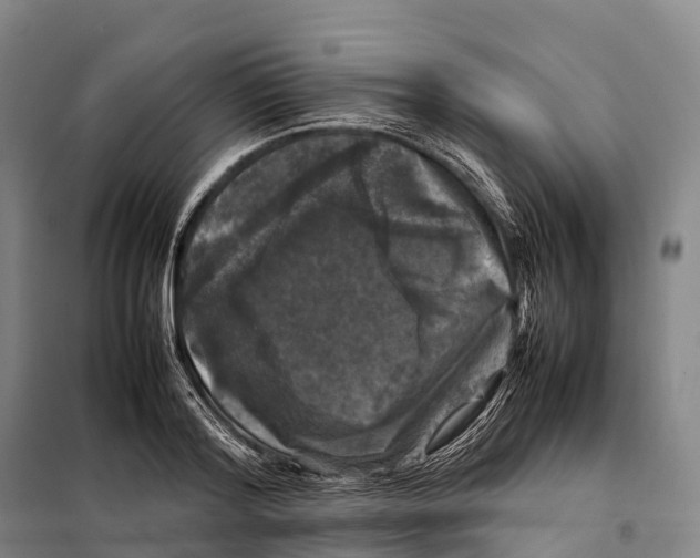 X0000098020796200804251136