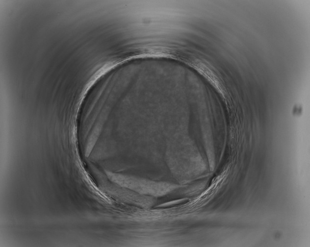X0000098020797200804251136