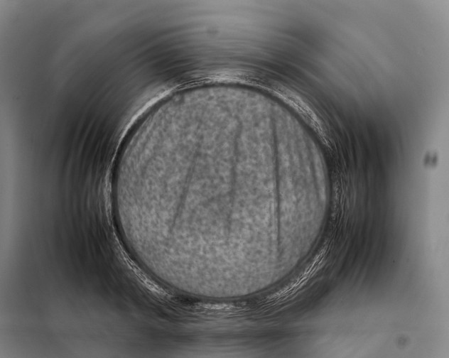 X0000098020798200804251136