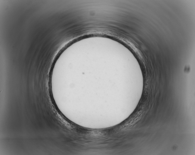 X0000098020799200804251136