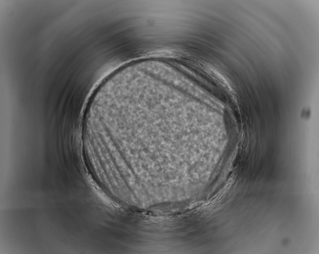 X0000098020800200804251136