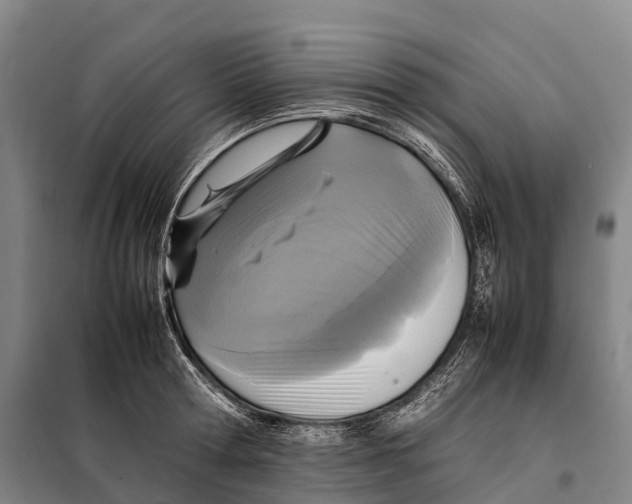 X0000098020802200804251136