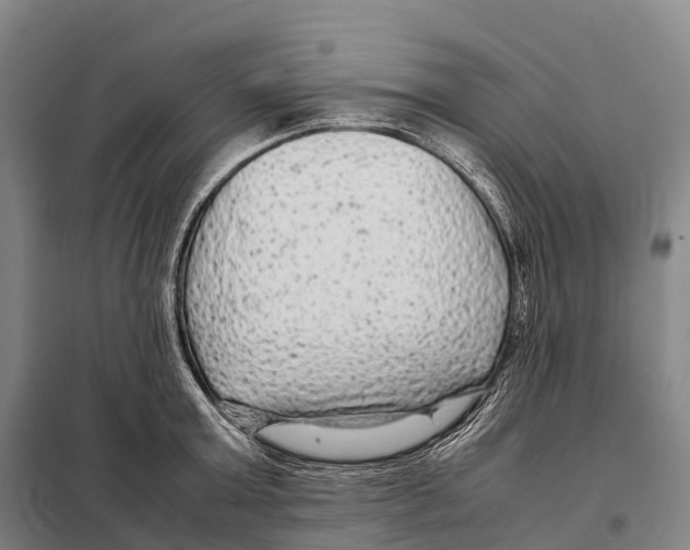 X0000098020803200804251136