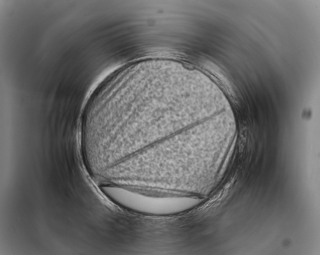 X0000098020804200804251136