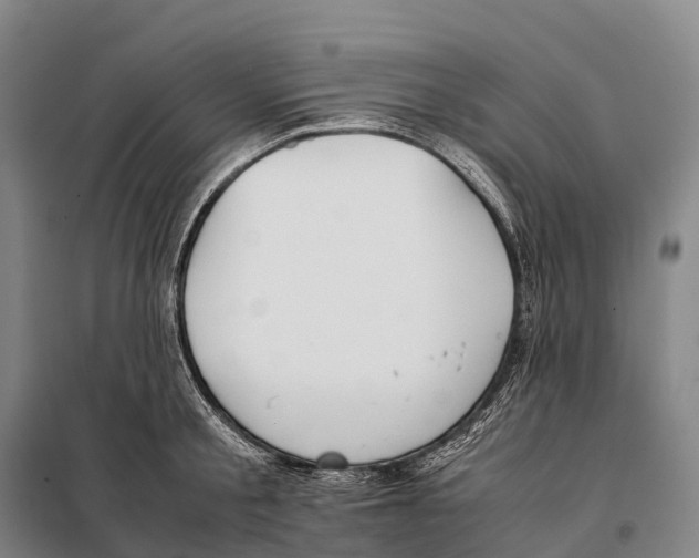 X0000098020805200804251136