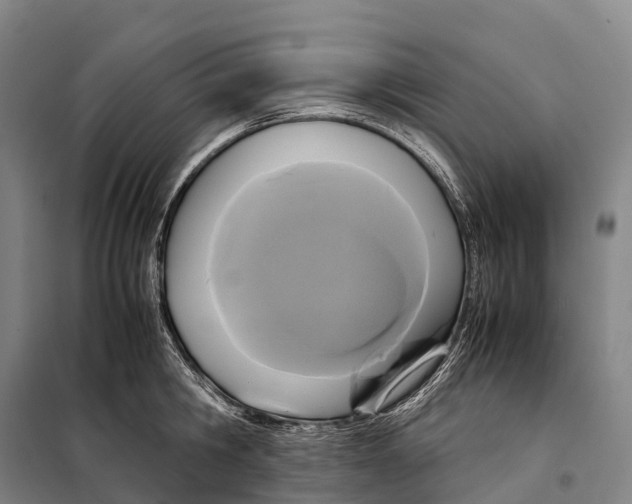 X0000098020806200804251136