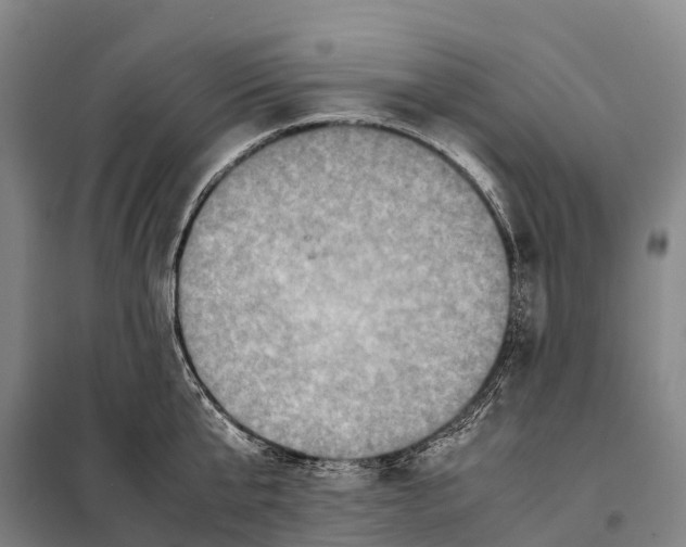 X0000098020807200804251136