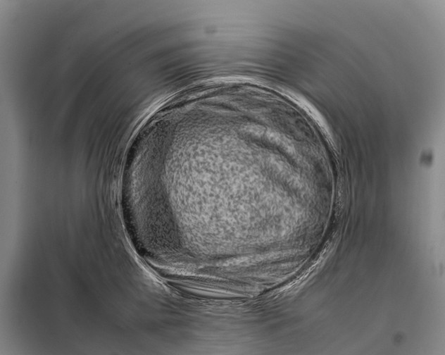X0000098020809200804251136