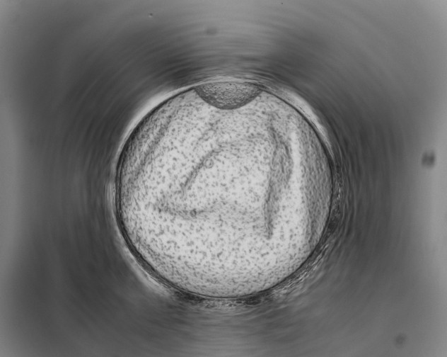 X0000098020811200804251136