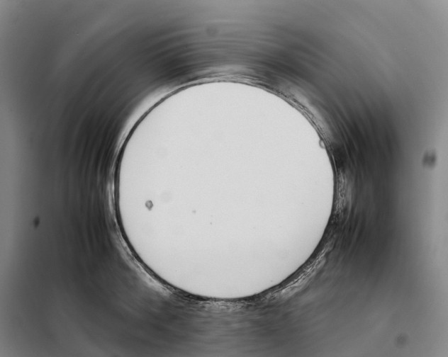 X0000098020812200804251136