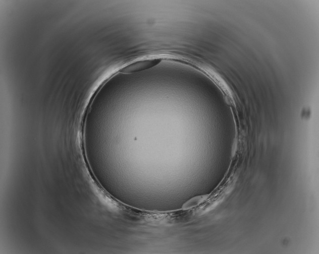 X0000098020813200804251136