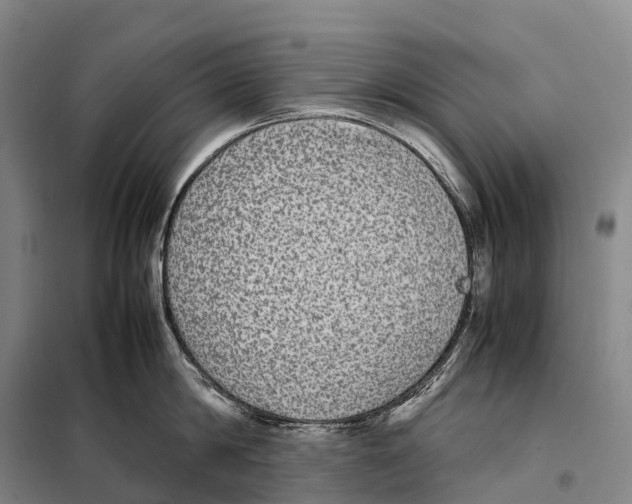 X0000098020814200804251136