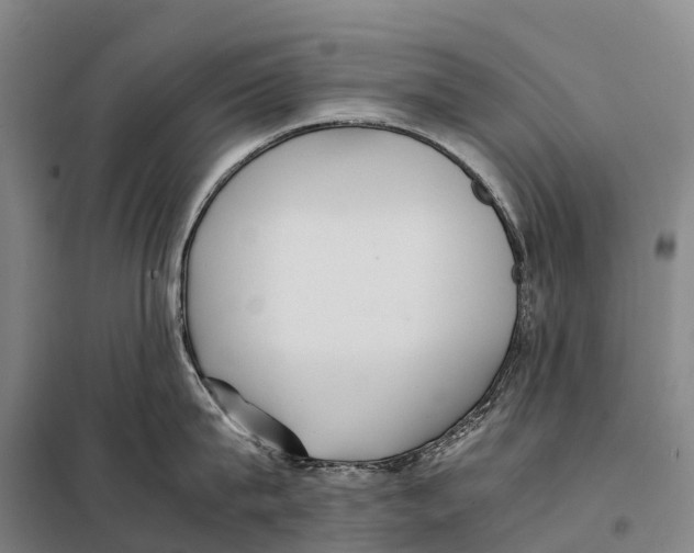 X0000098020815200804251136