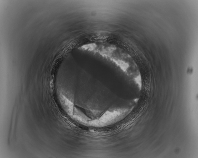X0000098020818200804251135