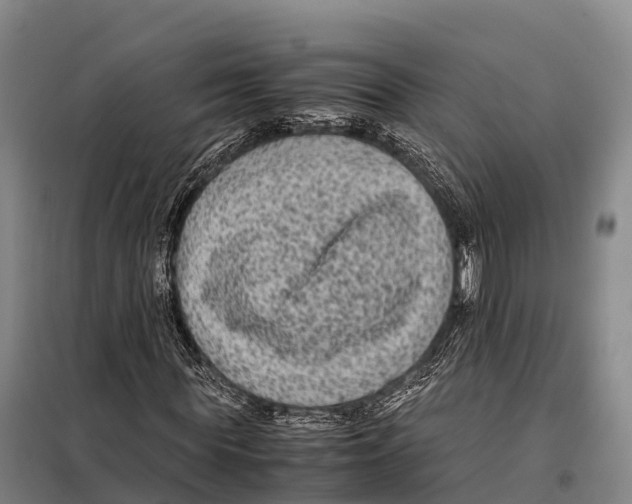 X0000098020819200804251135