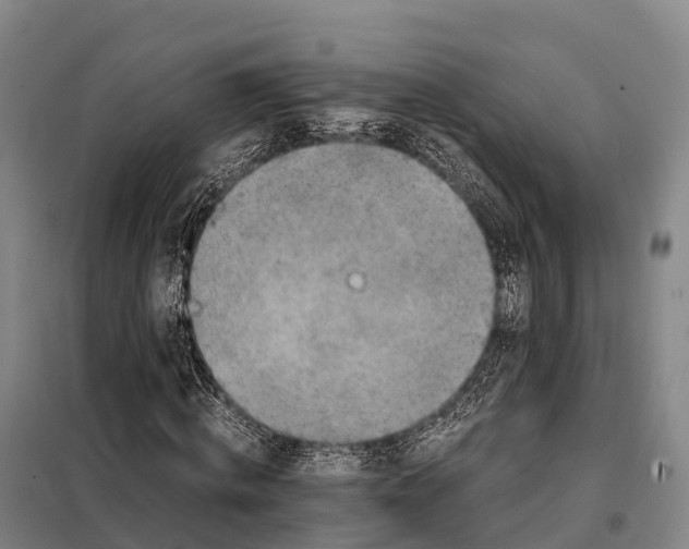 X0000098020820200804251135