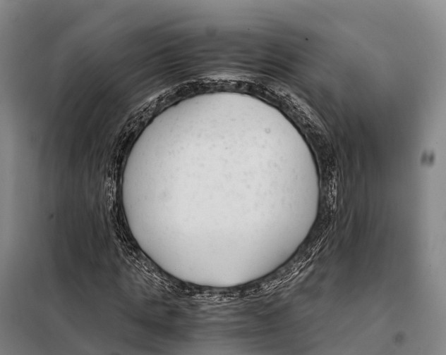 X0000098020821200804251135