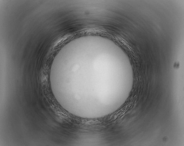 X0000098020824200804251135