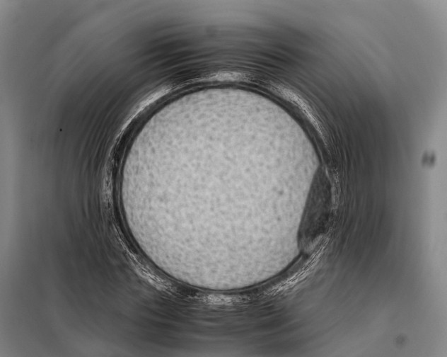 X0000098020827200804251135