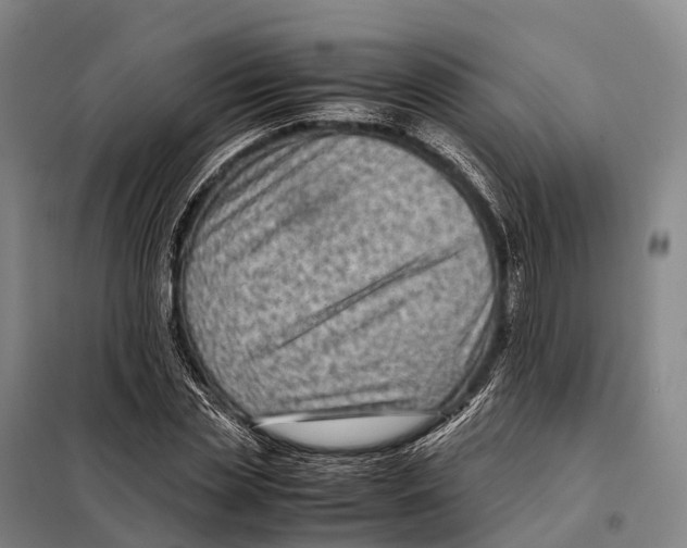 X0000098020829200804251135