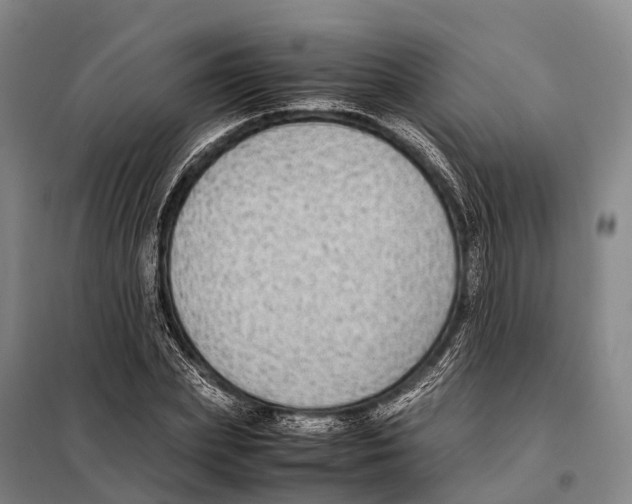 X0000098020831200804251135
