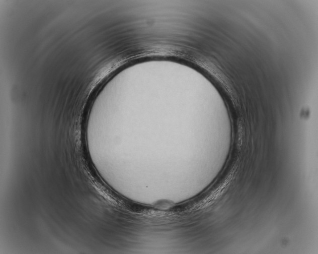 X0000098020834200804251135