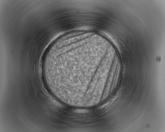 X0000098020835200804251135