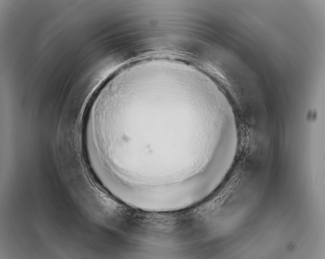 X0000098020836200804251135