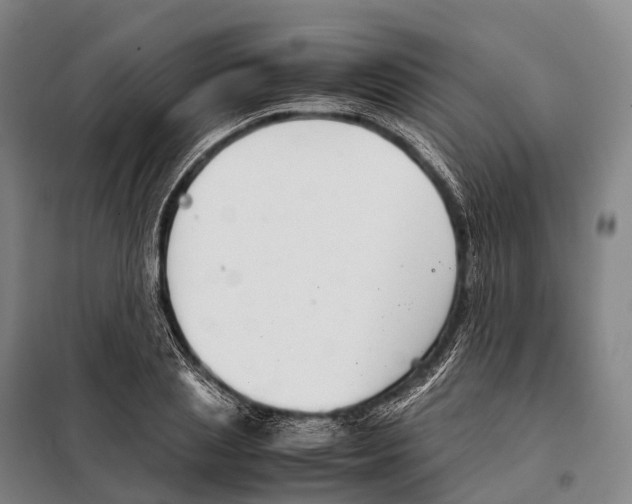 X0000098020837200804251135