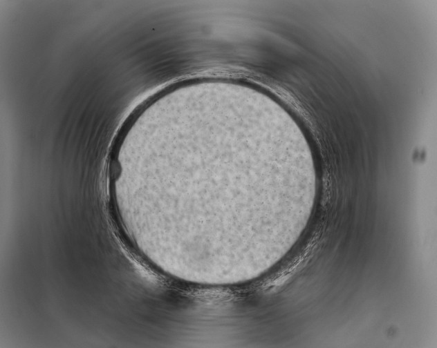 X0000098020838200804251135