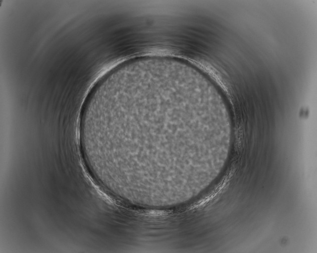 X0000098020839200804251135