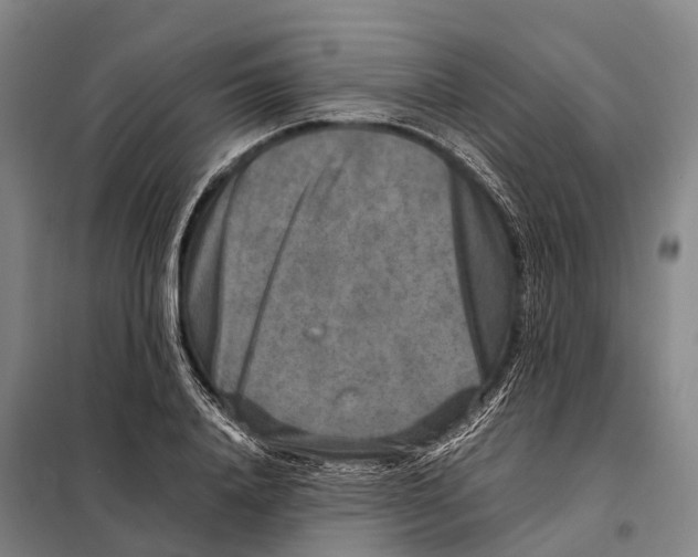 X0000098020840200804251135