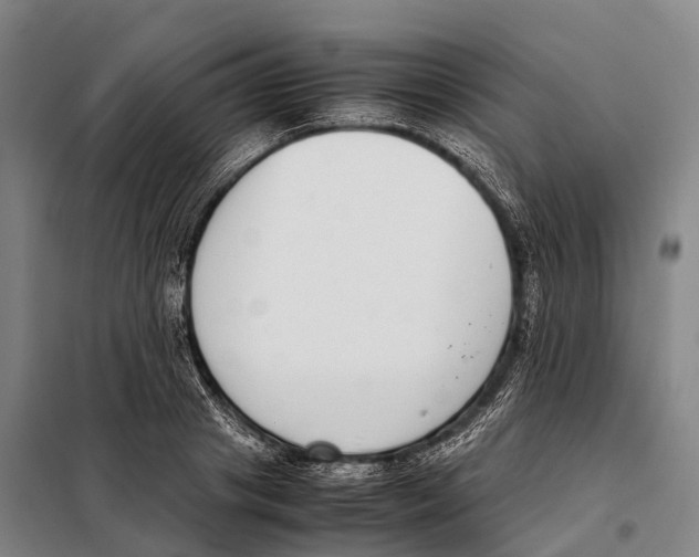 X0000098020841200804251135