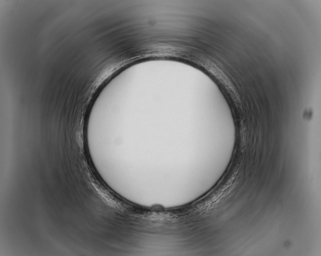 X0000098020842200804251135