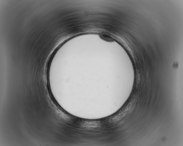 X0000098020843200804251135