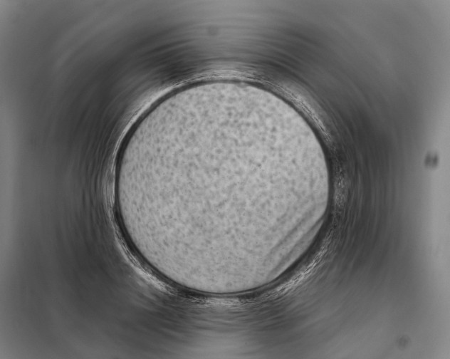 X0000098020844200804251135