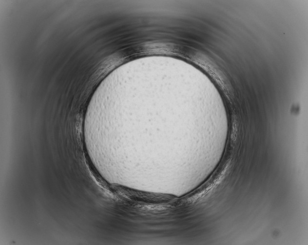 X0000098020849200804251135