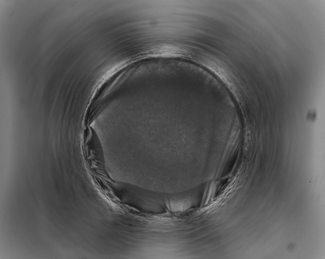X0000098020850200804251135
