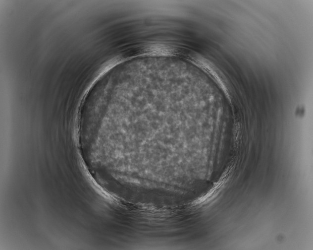 X0000098020851200804251135